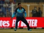 Sri Lanka's Wanindu Hasaranga de Silva celebrates after taking a wicket