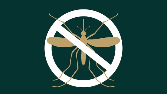 Alternatives to chemical mosquito repellents: Are natural options safer and more effective? (Photo by Twitter/pinecrestfl )