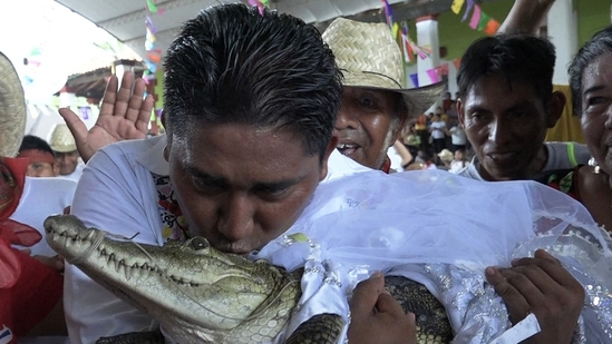 The reptile is a caiman, an alligator-like marsh dweller endemic to Mexico and Central America.(AFP)