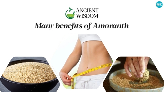 Amaranth is one of the richest plant forms of protein and contains loads of amino acids. (HT Photo)