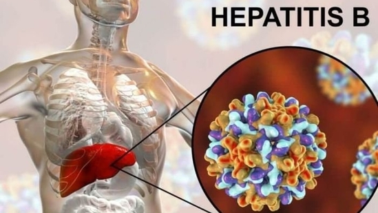 Hepatitis prevention and viral defense: The gut health breakthrough you need to know (Photo by Twitter/AbeDan14)