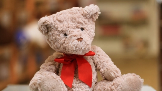 Teddy Day 2024: Date, history and significance(Unsplash)