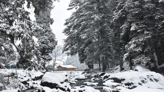 Winter wonderland! Kashmir's first snow brings beautiful views but closes major roads (Photo by X/JandKTourism)